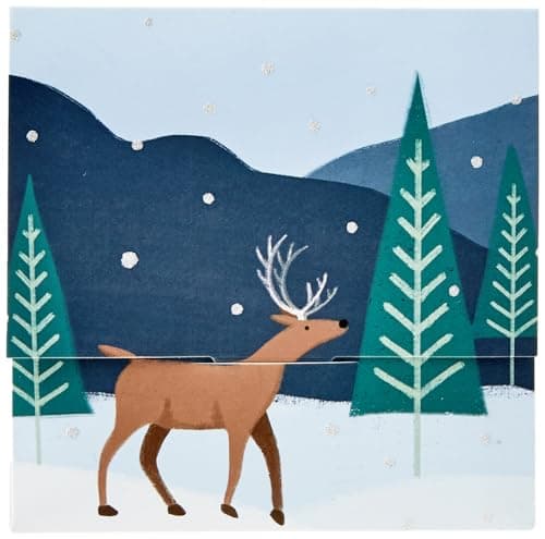 Amazon.com Gift Card in a Reveal (Various Designs)