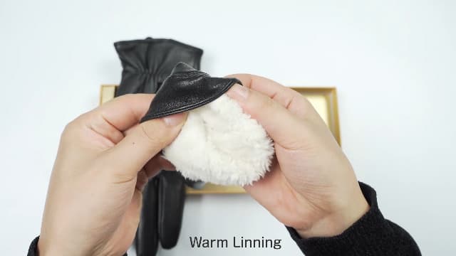 Vislivin Full-Hand Womens Touch screen Gloves Genuine Leather Gloves Warm Winter Texting Driving Glove