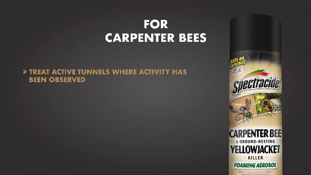 Spectracide Carpenter Bee And Ground-Nesting Yellowjacket Killer Foaming Aerosol 16 Ounces, Expands To Where Insects Live, Yellow