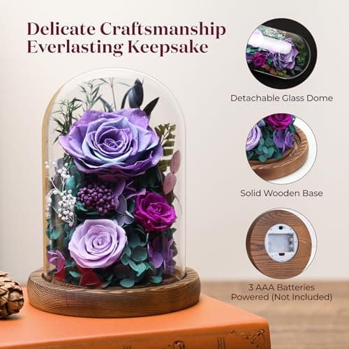 Dsuto Forever Fresh Flowers Bouquet in Glass Dome with Light, Preserved Purple Roses Gifts for Women on Birthdays, Anniversaries, Christmas, Valentine’s Day & Mother’s Day