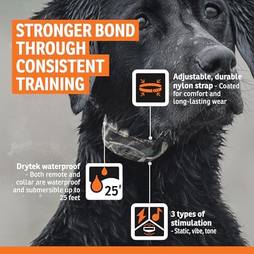 SportDOG WetlandHunter 425X Remote Trainer - Reliable Off-Leash Control - Rechargeable - Waterproof DryTek Technology - Adjustable Training Collar - Camouflage - 500-Yard Range, 1 Collar