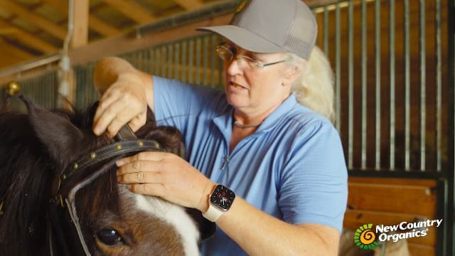 New Country Organics | Loyalty Senior Horse Pellets for Horses 15+ Years Old | Corn-Free and Soy-Free | 16% Protein | Certified Organic and Non-GMO | Nutrition for Senior Horses 40 lbs | Grain Feed