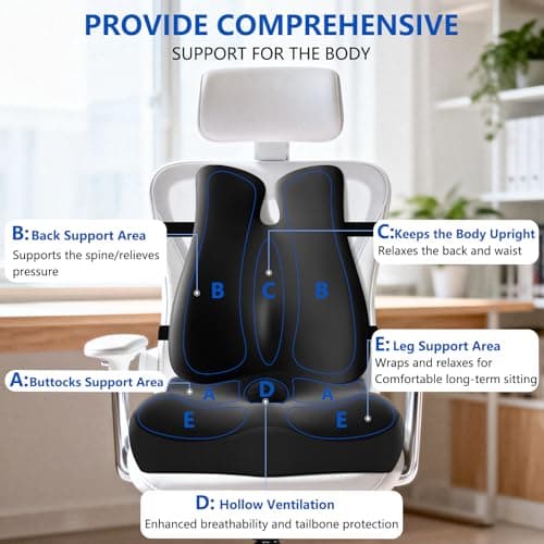 Lumbar Support Pillow for Office Chair,Seat Cushion with Back Support,Office Chair Cushion for Tailbone Pain,Sciatica and Hemorrhoid Relief (Black)
