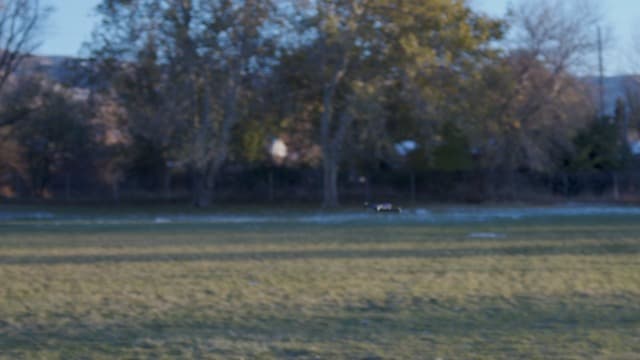 Drone with 1080P Camera for Beginners and Adults, Foldable Remote Control Quadcopter with Voice Control, Gestures Selfie, Altitude Hold, One Key Start, 3D Flips, 2 Batteries, Toy for Beginners