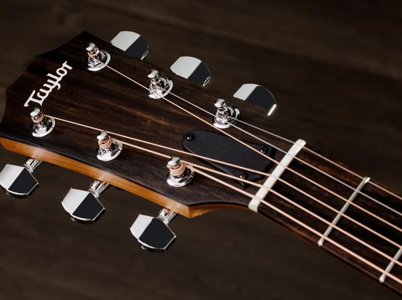 Taylor 114ce Acoustic Guitar with Expression System® 2 Electronics and a Gig Bag Case