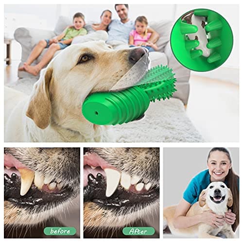Dog Chew Toys Dog Toothbrush Stick Teeth Cleaning Brush Dental for Medium Large Dog, Puppy Christmas Easter Birthday Gifts, Outdoor Squeaky Toys for Aggressive Chewers Interactive Tough Toys