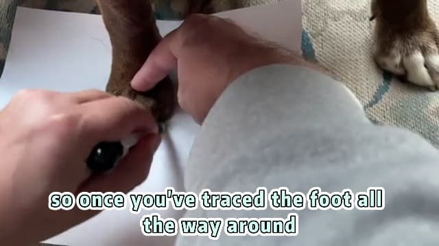 Dog Shoes for Small Dogs, Breathable Dog Boots Paw Protector for Hot Pavement Winter Snow, Dog Booties with Reflective Strips Rugged Anti-Slip Sole for Hardwood Floors Walking Army Green Size 3