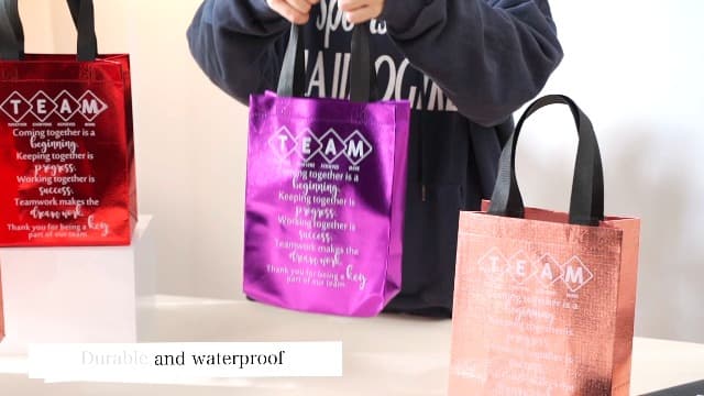 Customer Service Week Employee Appreciation Gifts, Reusable with Handles Gift Bag, Appreciation Gifts Bag For coworker Team Sweetude 25pcs Team Staff Appreciation Thank You Gift Bag Bulk, 10 Colors B0DJVXY2HC