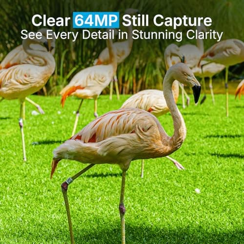 P70 (Non-Cellular,Non-WiFi) Trail Camera, 64MP 1296p, Game Cameras with No-Glow IR Night Vision, Motion Activated, Waterproof for Wildlife Deer Cams, Hunting