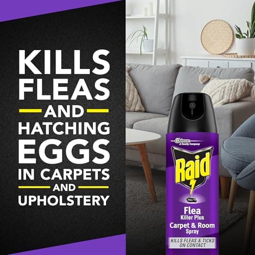 Raid Flea Killer Carpet & Room Spray, Kills hatching eggs for up to 4 months, 16 Oz