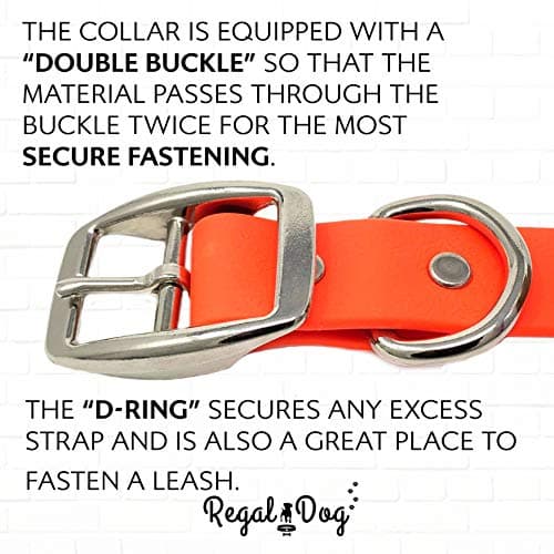 Regal Dog Products Medium Orange Dog Collar with Heavy Duty Double Buckle & D Ring | Vinyl Coated, Custom Fit, Adjustable Biothane Dog Collar Chew Resistant Waterproof Center-Ring Collar for Dogs