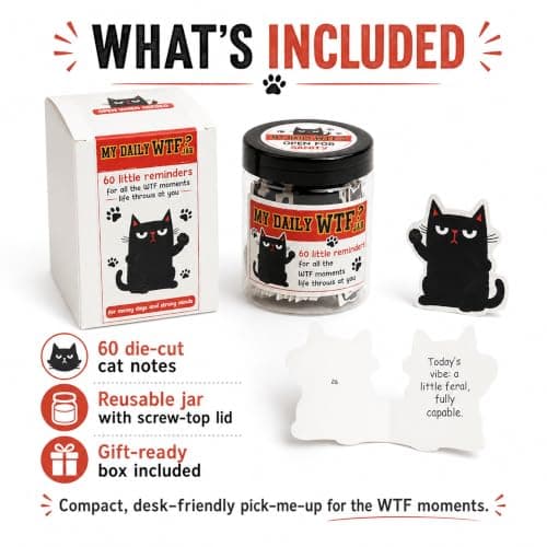 My Daily Jar with 60 Cards, Funny Affirmation Cards for Women Men, Funny Gifts for Women, Gag Gifts for Friends, Coworkers, Gift for Black Cat Lovers B0GVY2G1SX