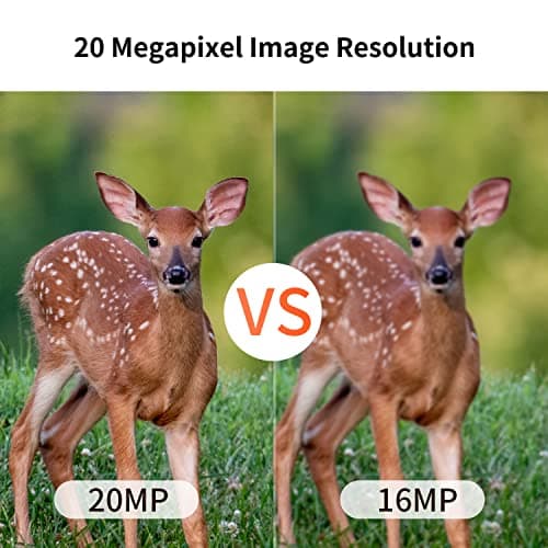 20MP Mini Trail Camera 1080P Hunting Trail Camera with No Glow 940nm Night Vision Motion Activated IP66 Waterproof,80ft Illumination Range Hunting Game Cam for Wildlife Monitoring- Grey-(2 Packs)