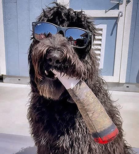 Doggy Doobie - Funny Dog Toys - Plush Squeaky Toys for Medium, Small and Large - Cool Stuffed Cute Gifts for Dog Birthday