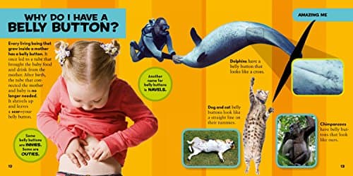 National Geographic Little Kids First Big Book of Why: Questions and Answers About the World for Curious Kids 1426307934