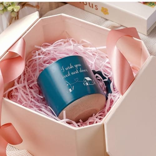 Best Friend Birthday Gift for Women - I Wish You Lived Next Door Mug, Unique Galentines Unique Day & Christmas Friendship Gift for Women, Bestie, BFF, Sister, Mom - 12.8oz Coffee & Tea Cup B0G5L4NT7J