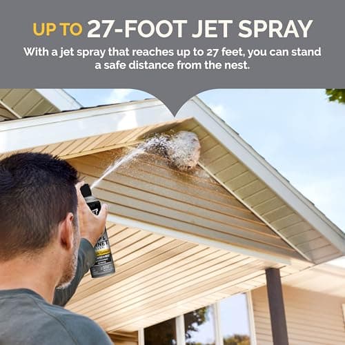 Hot Shot Wasp and Hornet Killer Aerosol, Up to 27-Foot Jet Spray, 14 Ounces, 2 Pack