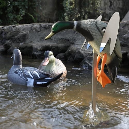 Realistic Mallard Duck Models That Hunting Enthusiasts Love as decoys and Ornaments