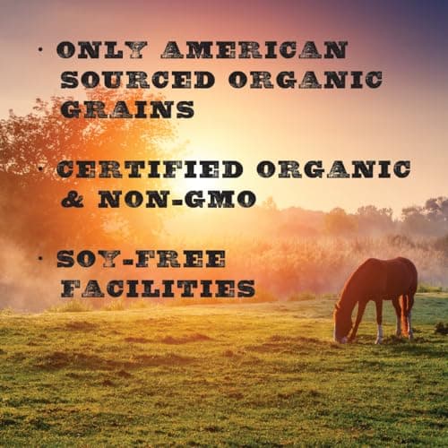 New Country Organics | Loyalty Senior Horse Pellets for Horses 15+ Years Old | Corn-Free and Soy-Free | 16% Protein | Certified Organic and Non-GMO | Nutrition for Senior Horses 40 lbs | Grain Feed