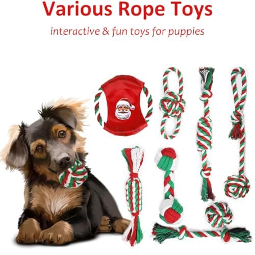 Beiker Christmas Dog Toys Bulk 15 Pack, Puppy Chew Toys for Teething Small Medium Puppies, Holiday Christmas Themed Presents Gifts Box Including Variety Tough Rubber and Rope Toys B0DG8WK4KW