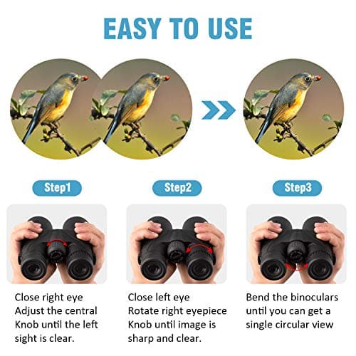 10x42 Binoculars for Adults - Professional HD Roof BAK4 Prism Lens Binoculars for Bird Watching, Hunting, Travel, Sports, Cruise, with Carrying Bag (1.1Lbs)
