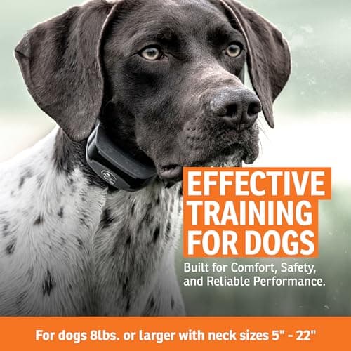 SportDOG SportHunter 825X Remote Dog Training Collar - 1/2 Mile Range, 21 Static Levels, Tone & Vibration, No-Look Dial, DryTek Waterproof, Up to 70 Hrs Battery Life, Expandable to 3 Dogs