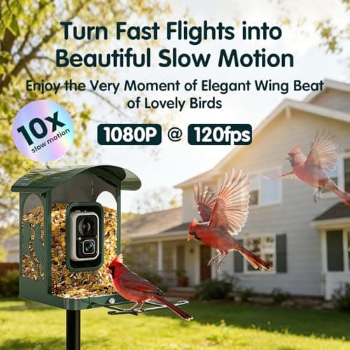 4K Ultra HD Video with Live View,10x Slow Motion,AI Smart Bird Feeder with Camera,2.4G/5G Wi-Fi,Durable Metal,Bird Lover Gift 4K Smart Bird Feeder with Camera,No Subscription,Solar Powered B0FMDP272Y