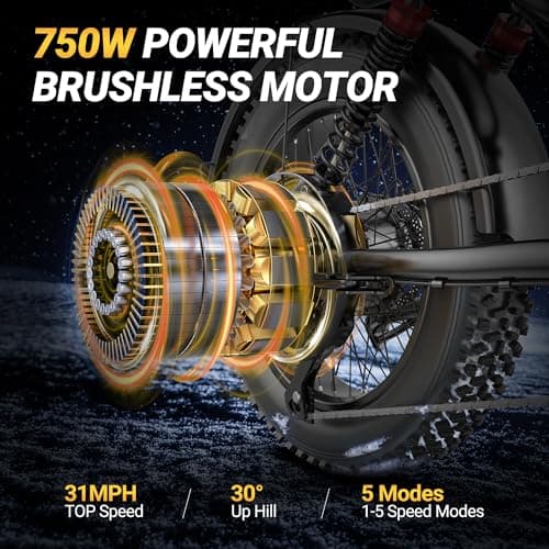 Fat Tire Electric Dirt Bike 750w for Adults 20" Full Suspension Electric Motorcycle Ebikes 48V 18AH Removable Battery,31MPH Top Speed,LED Headlights, Turn Signals,40-70 Miles Range