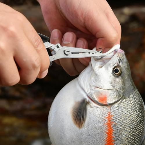 HAMMER IRON ALLEY 2PCS Stainless Steel Fishing Pliers with Lanyard, HIA Needle Nose Pliers Fishing Hook Remover, Great for Saltwater and Freshwater