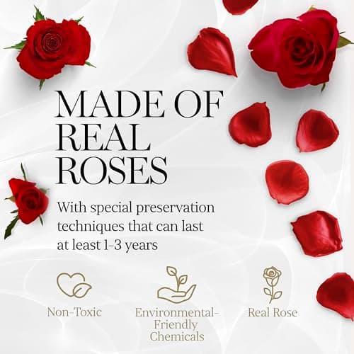 Small keepsake flower box for women, unique trinket and memory gift, cute present for a girlfriend, teacher or coworker GLAMOUR BOUTIQUE Preserved Flowers, 7 Forever Red Roses in Heart Gift Box
