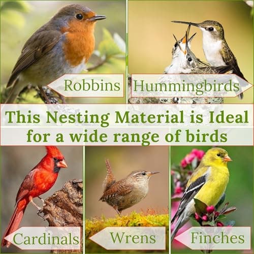 Hummingbird Nesters - Bird Nesting Material Holder for Wild Birds - Humming Bird House Materials Gifts for Bird Watching Nature Lovers - Refillable Outdoor Nesting Station to Build a Nest