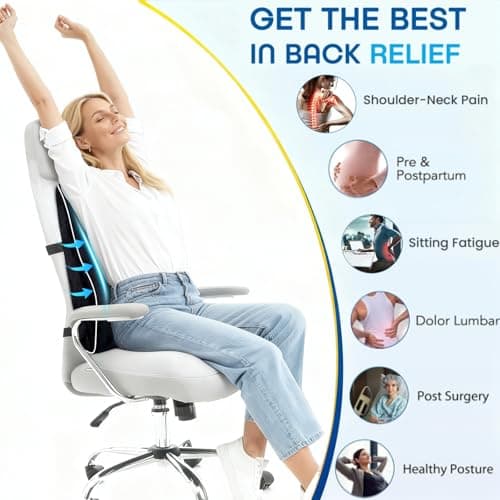 Niceeday Lumbar Support Pillow for Office Chair Car Back Support Pillow, Memory Foam Gaming Chair Desk Chair Back Cushion for Lower Back Pain Relief, Ergonomic Back Rest,Office Home Essentials