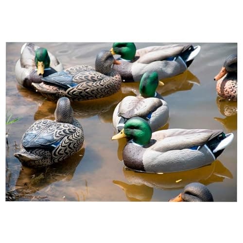 Avery GHG Essential Mallard Duck Decpus - 12 Pack
