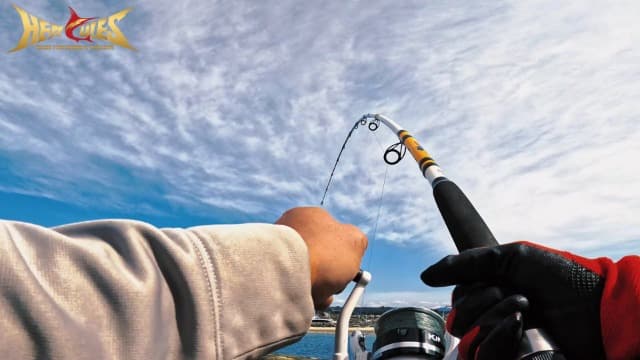 HERCULES Cost-Effective Super Cast 8 Strands Braided Fishing Line 10LB to 300LB Test for Salt-Water,109/328/547/1094 Yards(100M/300M/500M/1000M),Diam.#0.12MM-1.2MM,Hi-Grade Performance,Variety Colors