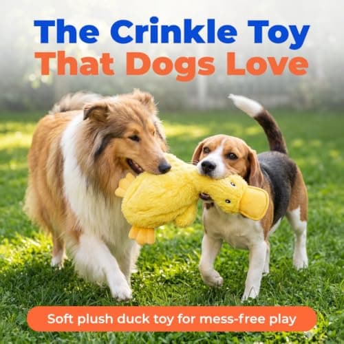Best Pet Supplies Crinkle Dog Toy for Small, Medium, and Large Breeds, Cute No Stuffing Duck with Soft Squeaker, Fun for Indoor Puppies and Senior Pups, Plush No Mess Chew and Play - Yellow