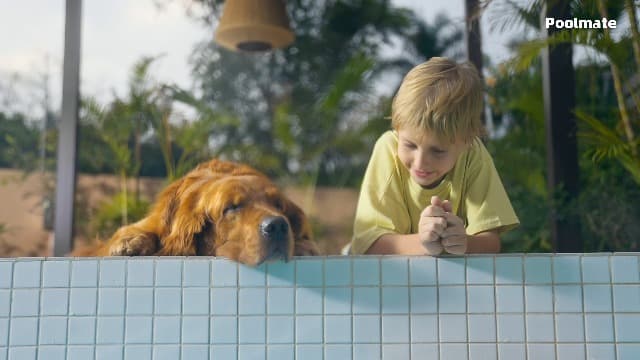 Chasing Hydro 4 Pool Vacuum for Inground Pools | 210-Min Battery Pool Robot for Floor, Wall & Waterline Cleaning | Smart App Control | 5070 GPH Suction Perfect for Pool Opening Season