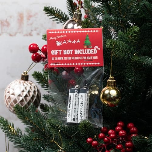 Gift Not Included Batteries Gag Gift - Funny Prank for Present Adults for Women Men - Stocking Stuffer for Him Her Boyfriend Girlfriend