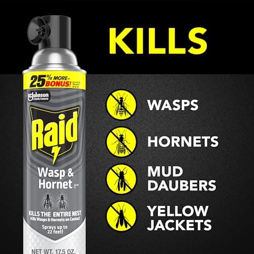 Raid Wasp & Hornet Killer Spray, Kills the Entire Nest, For Paper Wasps, Yellow Jackets, Mud Daubers, and more, 17.5 oz