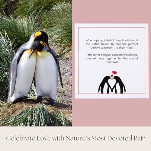 1 Year Anniversary for Boyfriend or Girlfriend - Penguin Pebble Gift- First Wedding Anniversary for Husband or Wife - One Year Together Keepsake