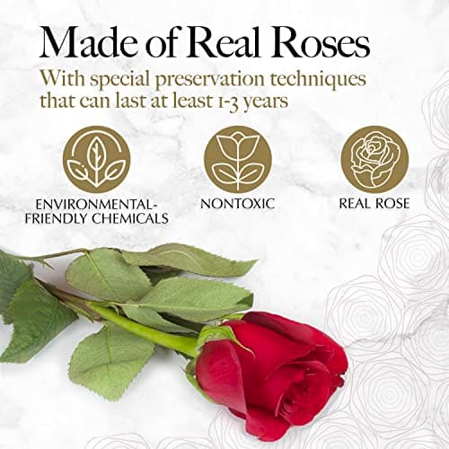 16 Flower Forever Heart Shape Box - Preserved Roses Gift for Her, Preserved Flowers, Red