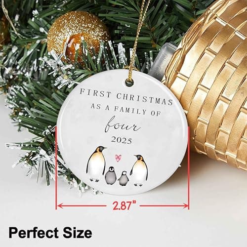 New Baby 2025 Christmas Ornament Gift-Christmas Tree Decor-First Christmas As a Family of Four-New Parents Gift-New Mom New Dad-Baby Present Shower Newborn-Second Child Present