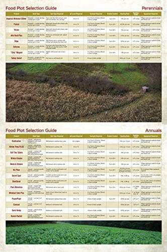 Whitetail Institute BowStand Deer Food Plot Seed, Annual Forage Designed to Attract Deer to Small, Remote Food Plots for Bow Hunting, Can Be Planted with Hand Tools, 4 lbs (4500 sq ft)