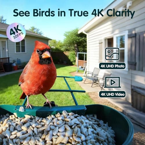 4K Ultra HD Video with Live View,10x Slow Motion,AI Smart Bird Feeder with Camera,2.4G/5G Wi-Fi,Durable Metal,Bird Lover Gift 4K Smart Bird Feeder with Camera,No Subscription,Solar Powered B0FMDP272Y
