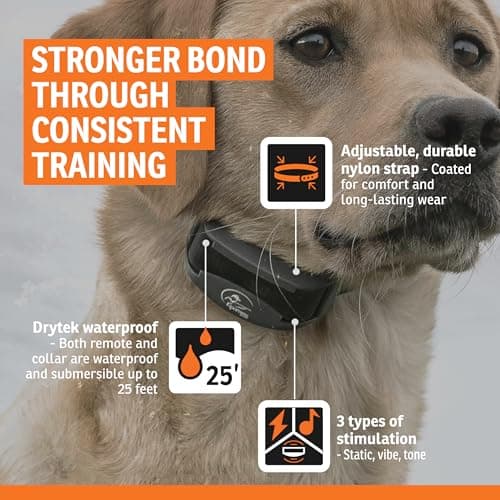 SportDOG FieldTrainer 425X - Remote Trainer Designed for Off-Leash Control & Training - 500-Yard Range - Waterproof - Quick Charge-Collar with 21 Levels of Static, Tone, & Vibration