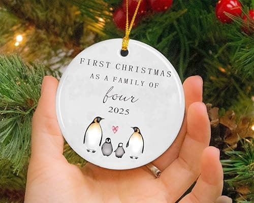 New Baby 2025 Christmas Ornament Gift-Christmas Tree Decor-First Christmas As a Family of Four-New Parents Gift-New Mom New Dad-Baby Present Shower Newborn-Second Child Present