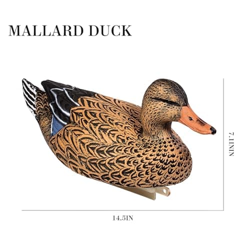 Heerweiyi Mallard Duck Decoys Popular New Material EVA Collapsible Plastic Duck Decoy Mallard Duck Decoys,Easy to Carry and use, More Cost-Effective.