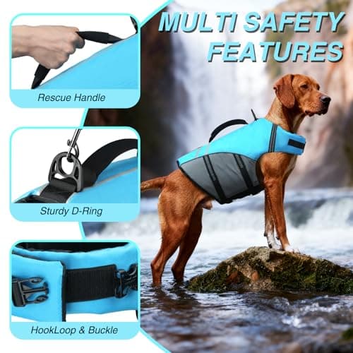 VIVAGLORY Sports Style Dog Life Vest, Dog Life Jacket for Swimming & Boating, Ripstop & Buoyancy for Puppy Doggy, Lifejacket with Handle, M, Blue