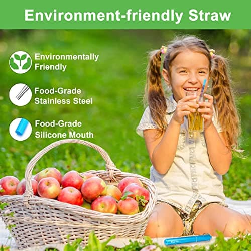 Travel Drinking Straws, Cruise Must Haves, Portable Foldable Stainless Steel Straws with Cases, Silicone Tips for Gifts Kynup Reusable Collapsible Metal Straws, Cruise Ship Essentials (4Pack) B07ZBZ6CCC