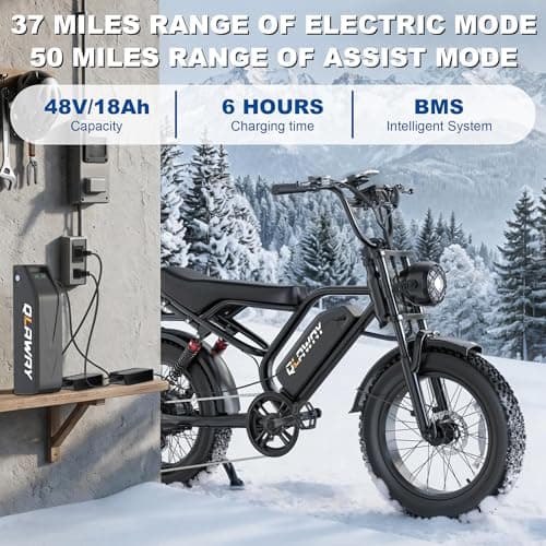 Fat Tire Electric Dirt Bike 750w for Adults 20" Full Suspension Electric Motorcycle Ebikes 48V 18AH Removable Battery,31MPH Top Speed,LED Headlights, Turn Signals,40-70 Miles Range