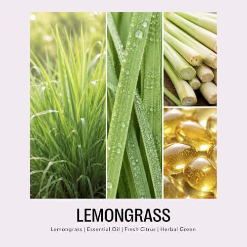 Mom Gifts for Birthday, Christmas - Mom candle with natural soy wax and lemongrass essential oil, 10 oz jar, gift-ready box Funny Gifts for Mom from Son, Having Me as a Son Lemongrass Candle B0GZH74W8K